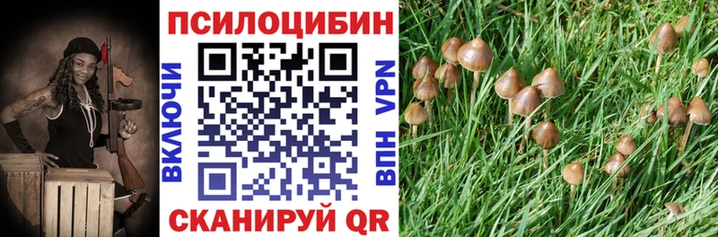 Галлюциногенные грибы Psilocybine cubensis  darknet Telegram  Вяземский 