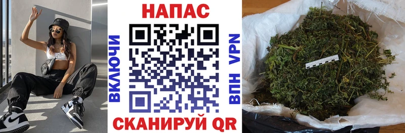 Канабис гибрид  Вяземский 